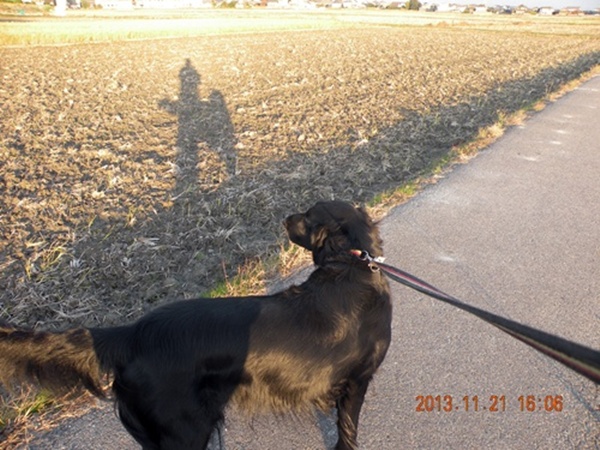 長～い影法師 ＆ 長～い知恵比べ_f0176499_4521564.jpg