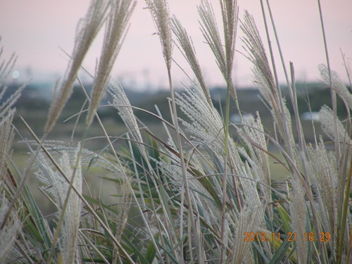 長～い影法師 ＆ 長～い知恵比べ_f0176499_4562717.jpg