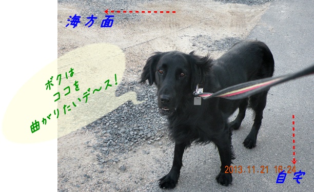 長～い影法師 ＆ 長～い知恵比べ_f0176499_4595426.jpg