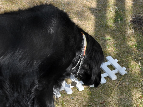 長～い影法師 ＆ 長～い知恵比べ_f0176499_5321080.jpg