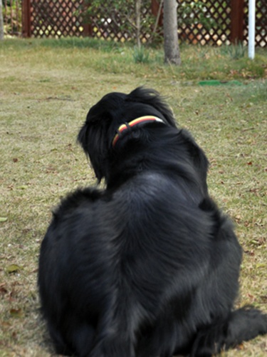 長～い影法師 ＆ 長～い知恵比べ_f0176499_533844.jpg