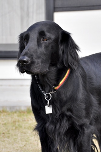 長～い影法師 ＆ 長～い知恵比べ_f0176499_5345511.jpg