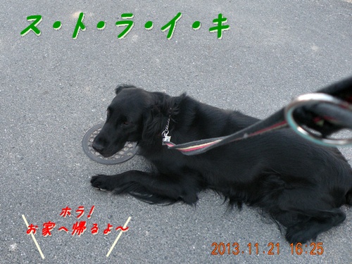 長～い影法師 ＆ 長～い知恵比べ_f0176499_562852.jpg