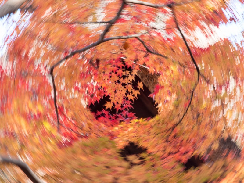 f0224100_23225743.jpg