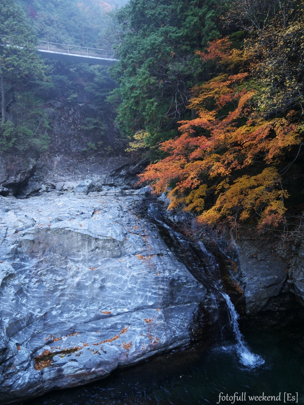 b0138101_19455248.jpg