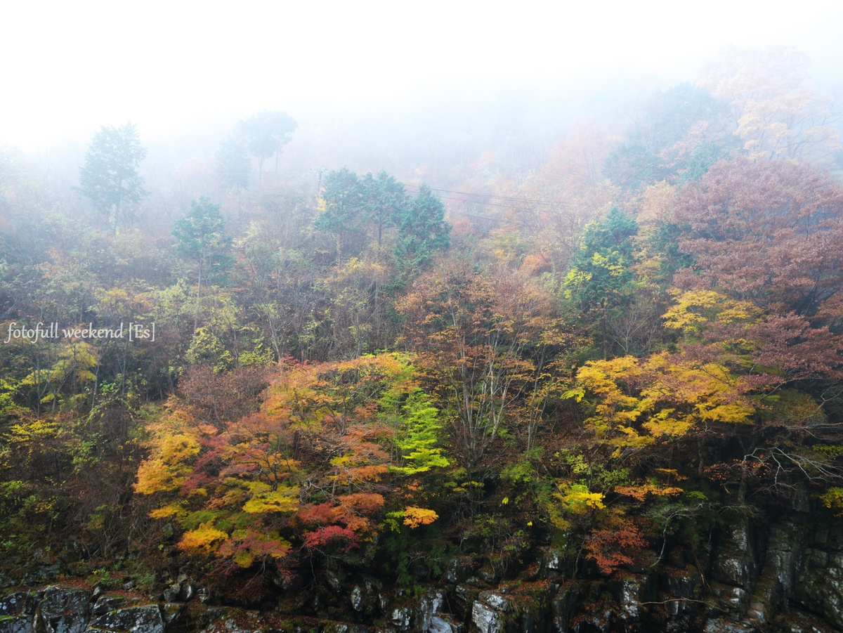 みたらい渓谷の紅葉は・・・ ①_b0138101_19455774.jpg