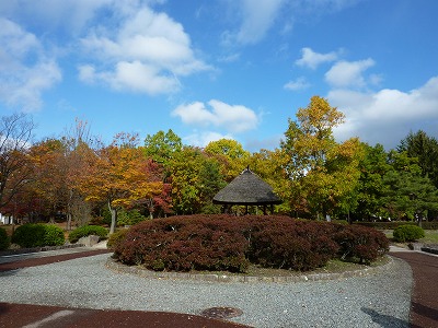 c0107402_22562647.jpg