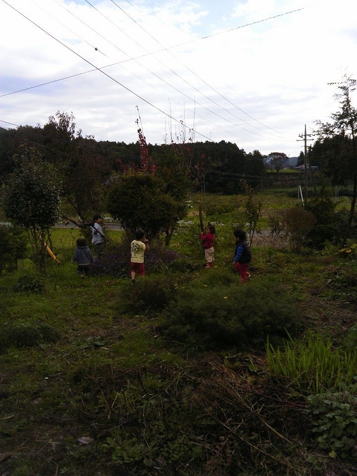c0248102_951082.jpg
