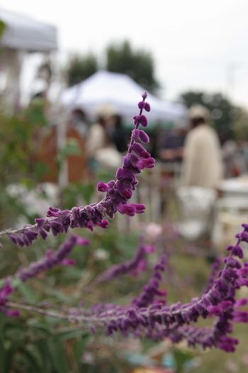 c0297004_20504967.jpg