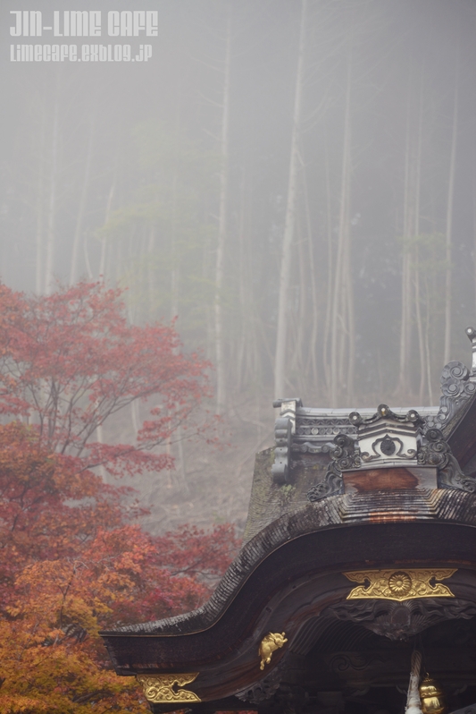  霧の漂う鍬山神社_e0222506_1232224.jpg