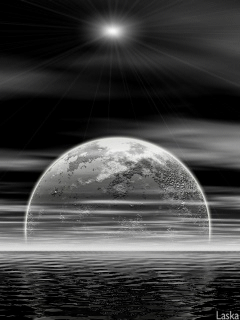 f0310706_1405382.gif