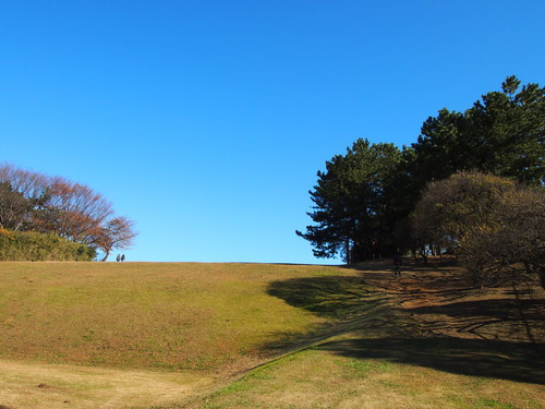a0185007_20195195.jpg