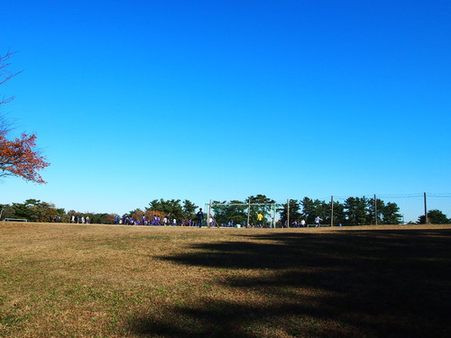 a0185007_20242401.jpg