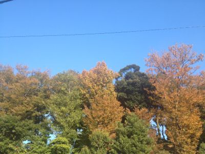 モケモケみっけ_e0239908_19571466.jpg