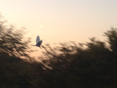 モケモケみっけ_e0239908_19572713.jpg