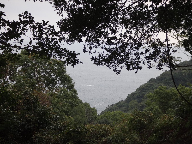a0196709_1410417.jpg