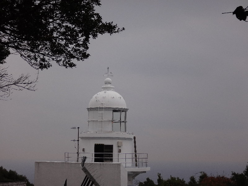 a0196709_1432440.jpg