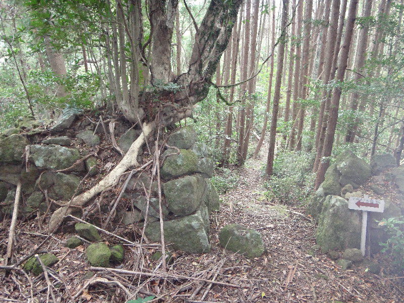 a0196709_1433150.jpg