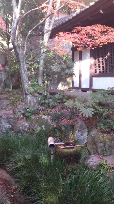 b0243809_2322165.jpg
