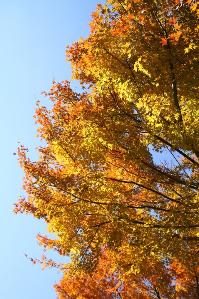 a0194911_16521326.jpg