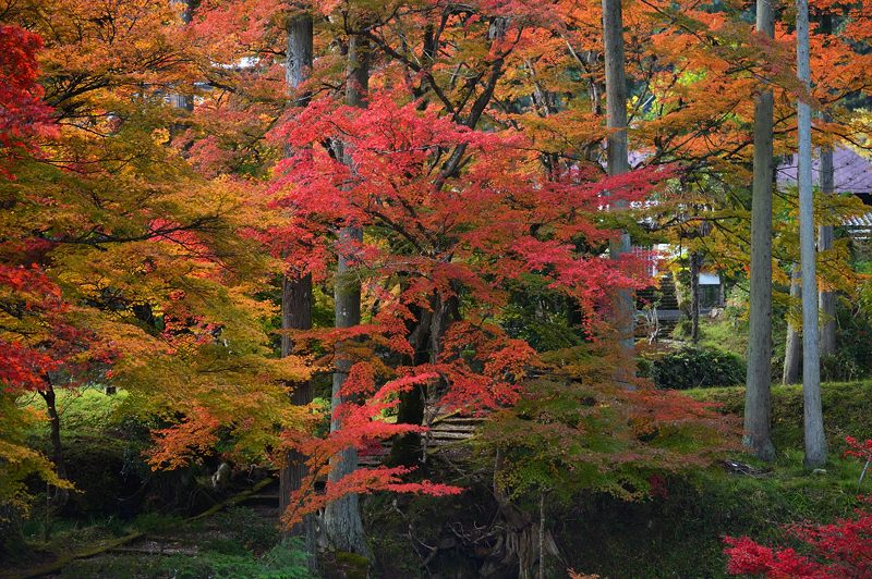 f0032011_1624358.jpg