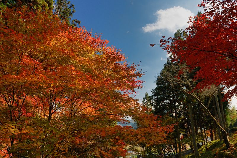 f0032011_1627338.jpg