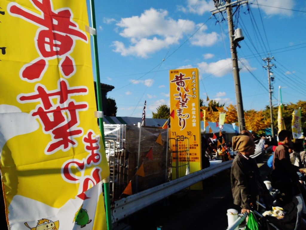 「黄葉まつり 131123」_a0120513_2119641.jpg