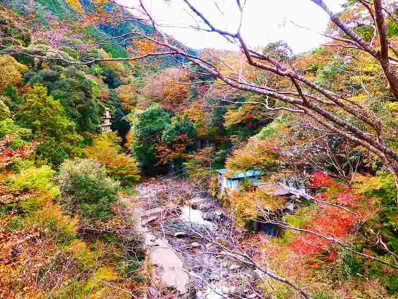 f0182513_21514193.jpg