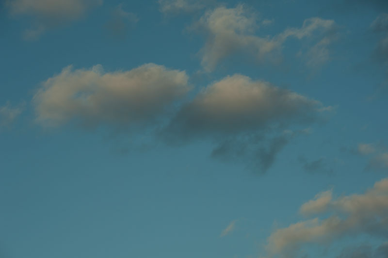 a0278914_821364.jpg