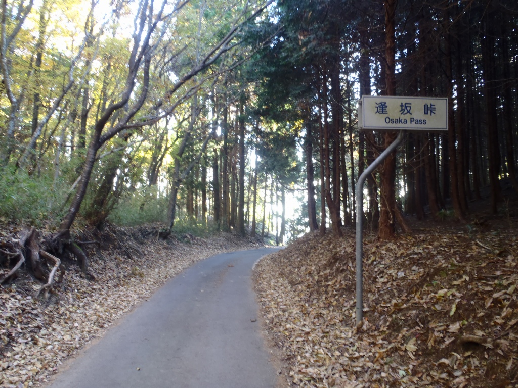 e0171018_2259042.jpg