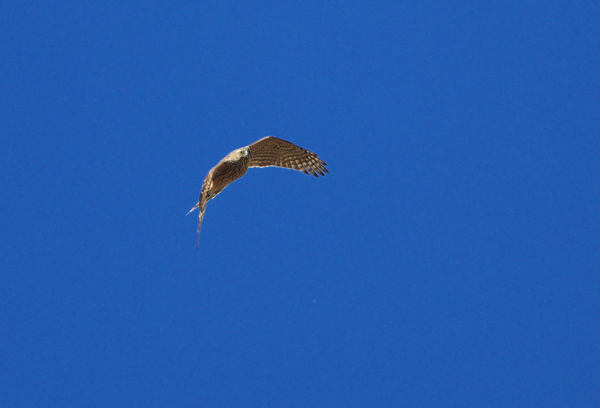 f0288418_324428.jpg