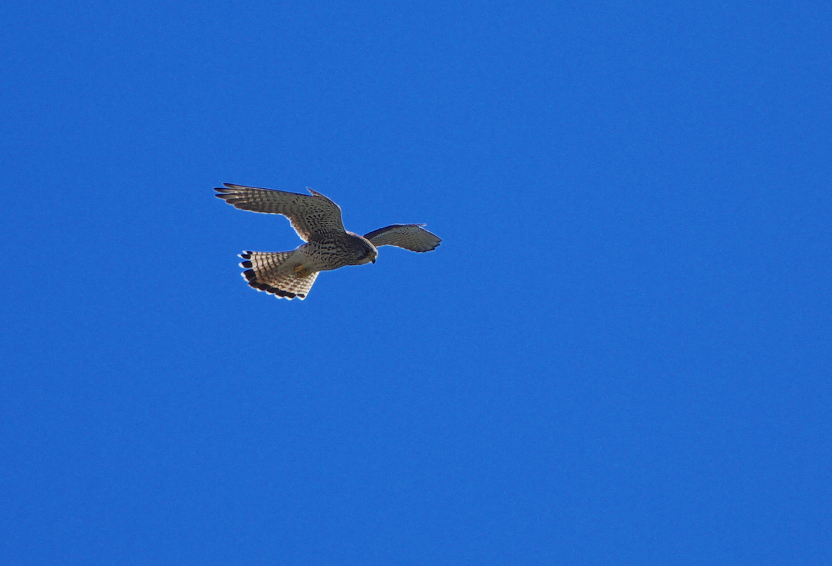f0288418_3253673.jpg