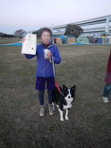 a0232619_20491281.png