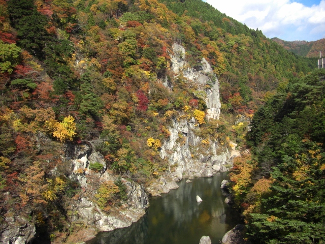 c0074721_1644872.jpg