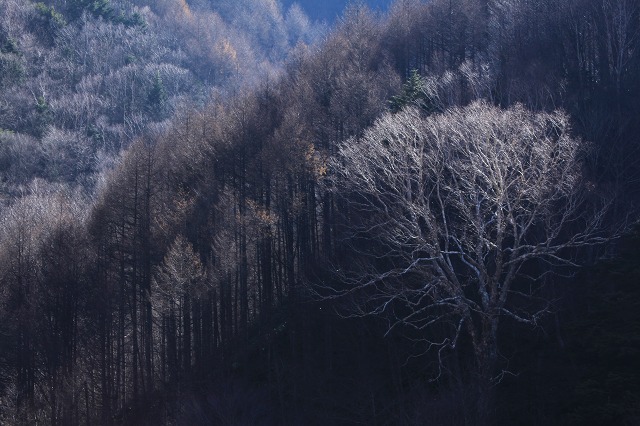 e0242721_11281229.jpg