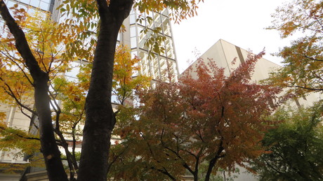 c0280322_23151849.jpg