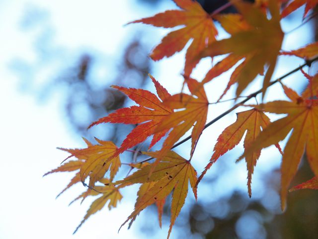 a0188023_7221395.jpg