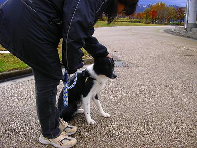 八色の森公園をお散歩_d0015124_14355215.jpg