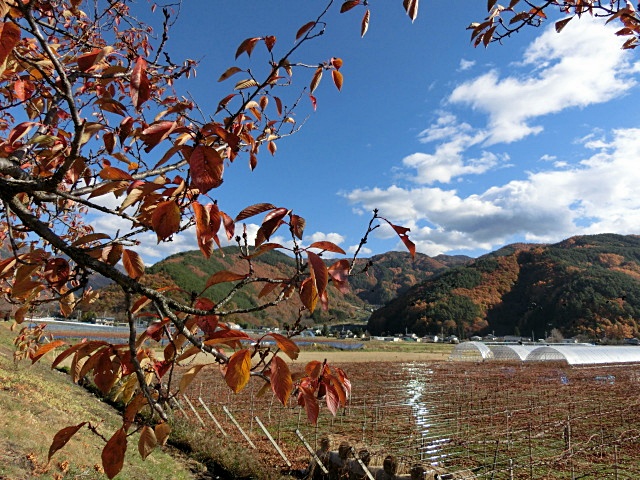 e0234924_1110120.jpg
