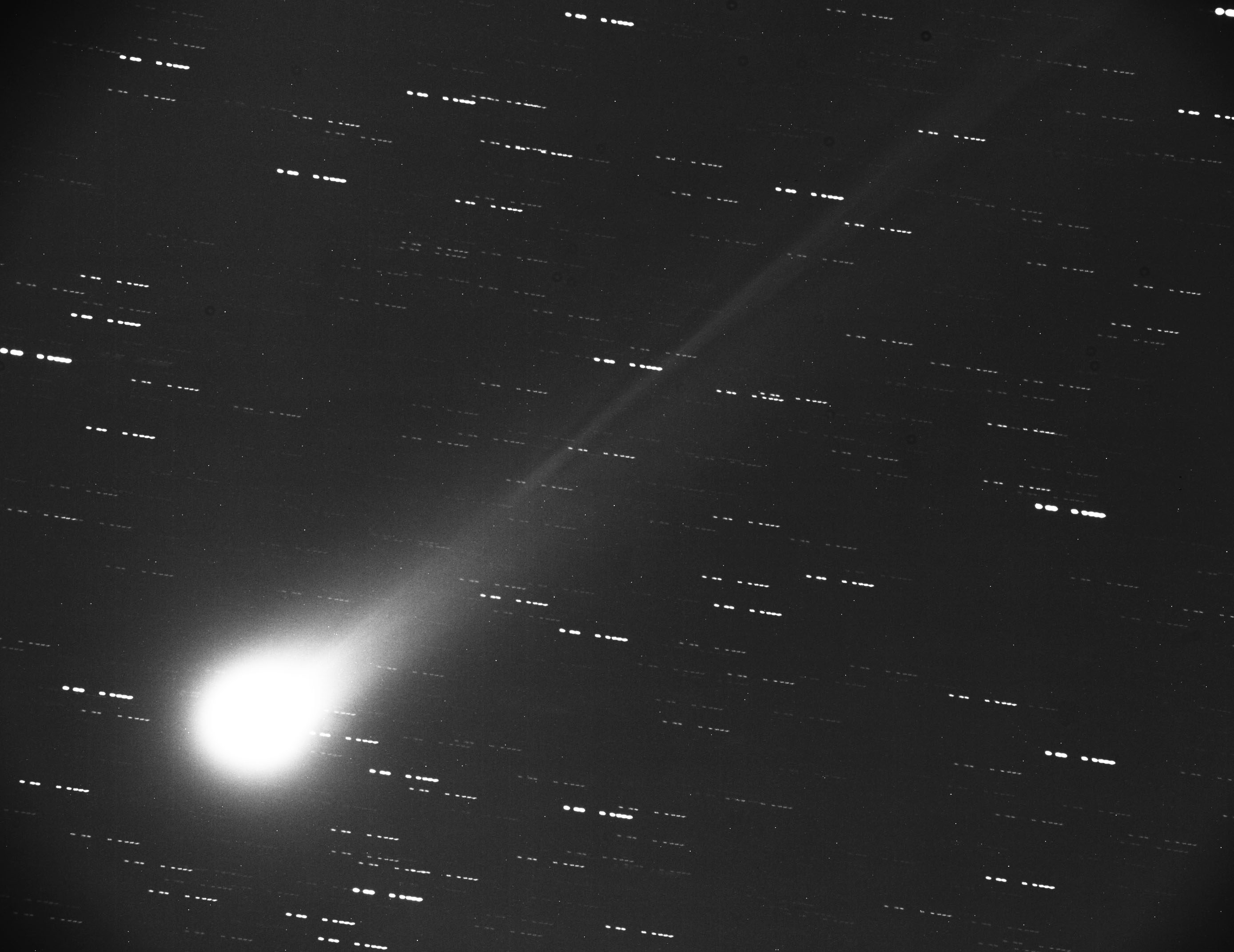 ラブジョイ彗星も綺麗です。_c0061727_1037417.jpg
