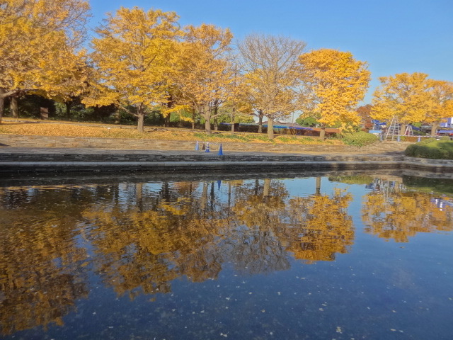 鬱になったら、、そうだ！立川行こう　国営昭和記念公園_e0016828_10225327.jpg