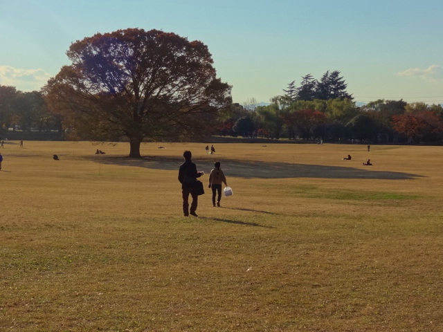 鬱になったら、、そうだ！立川行こう　国営昭和記念公園_e0016828_10264148.jpg