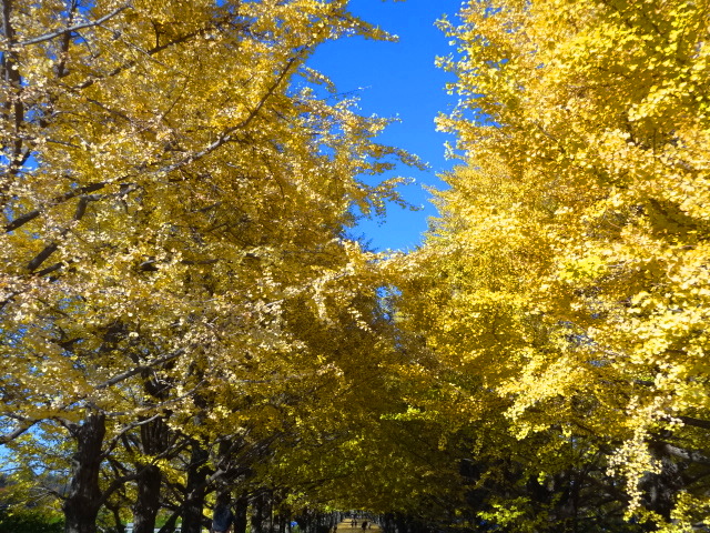 e0016828_1065143.jpg