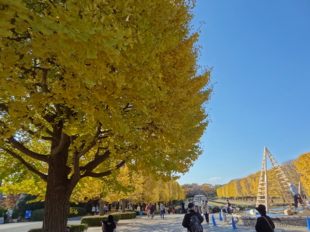 鬱になったら、、そうだ！立川行こう　国営昭和記念公園_e0016828_9525841.jpg