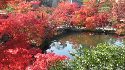 永観堂の紅葉_c0223630_084154.jpg