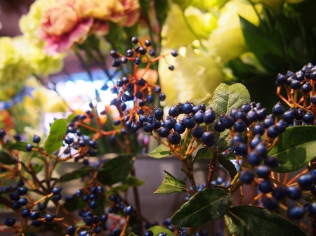 a0318033_23123130.jpg