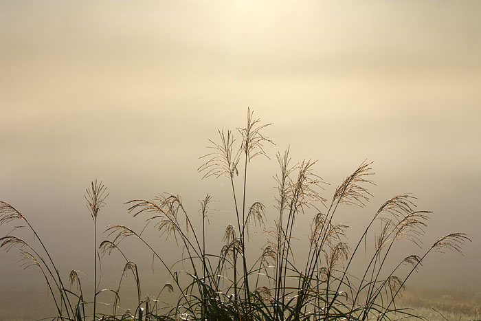 c0067040_23141839.jpg