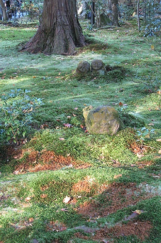 a0243143_19124620.jpg