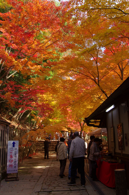 鮮やかに紅葉：永源寺山門（前）　滋賀　_d0186245_19304132.jpg