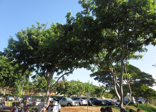 f0087347_14152053.jpg